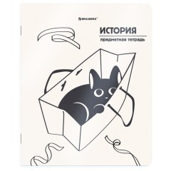 Тетради предметные, КОМПЛЕКТ 12 ПРЕДМЕТОВ 48 л., пластиковая обложка, BRAUBERG "КОТ-НЕПОСЕДА", 405542 - фото 9