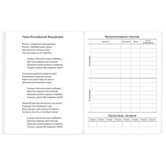 Дневник 1-11 класс 40 л., на скобе, ПИФАГОР, обложка картон, МИКС "Универсальный", 107578 - фото 8