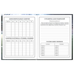 Дневник 1-4 класс 48 л., твердый, ЮНЛАНДИЯ, глянцевая ламинация, с подсказом, "Футбол", 107583 - фото 7