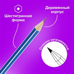 Карандаши чернографитные BRAUBERG НАБОР 12 шт., "ZTX", HB, с резинкой, синий корпус, картонная упаковка, 180672 Карандаши чернографитные BRAUBERG НАБОР 12 шт., "ZTX", HB, с резинкой, синий корпус, картонная упаковка, 180672 - фото 10