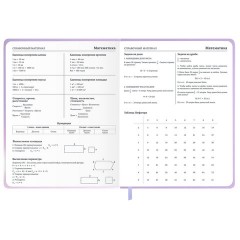 Дневник 1-11 класс 48 л., обложка кожзам (твердая с поролон), 3D-элемент, BRAUBERG, "Суровый кот", 107221 - фото 13