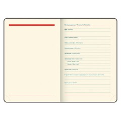 Ежедневник датированный 2026 А5 148х218 мм, GALANT "Infinity Gold", под кожу, темно-зеленый, 117504 - фото 6