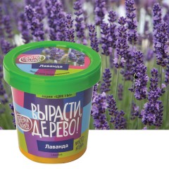 Набор для выращивания растений ВЫРАСТИ ДЕРЕВО! "Лаванда" (банка, грунт, семена), zk-030 Набор для выращивания растений ВЫРАСТИ ДЕРЕВО! "Лаванда" (банка, грунт, семена), zk-030 - фото 4