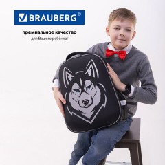 Ранец BRAUBERG SHINY, 2 отделения, с брелоком, "Husky", СВЕТЯЩИЙСЯ РИСУНОК, 38х28х14 см, 271383 - фото 21