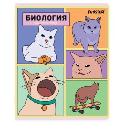 Тетради предметные, КОМПЛЕКТ 12 ПРЕДМЕТОВ, 48 л., TWIN-лак, FUNSTER (ФАНСТЕР), МЕМНЫЕ КОТЫ, 405604 - фото 3