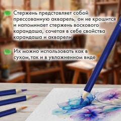 Карандаши художественные цветные акварельные BRAUBERG ART CLASSIC, 48 цветов, грифель 3,3 мм, 181532 - фото 12