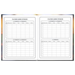 Дневник 1-4 класс 48 л., твердый, ЮНЛАНДИЯ, глянцевая ламинация, с подсказом, "Котёнок", 107581 - фото 8