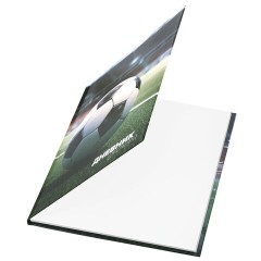 Дневник 1-4 класс 48 л., твердый, ЮНЛАНДИЯ, глянцевая ламинация, с подсказом, "Футбол", 107583 - фото 3