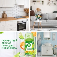 Сменный баллон 250 мл, AIRWICK "Анти-табак. Апельсин/бергамот", для автоматических освежителей, универсальный, 224392 Сменный баллон 250 мл, AIRWICK "Анти-табак. Апельсин/бергамот", для автоматических освежителей, универсальный, 224392 - фото 15