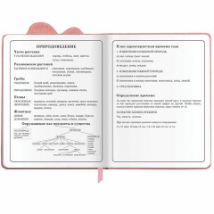 Дневник 1-4 класс 48 л., кожзам (твердая с поролоном), фигурный край, ЮНЛАНДИЯ, "Котик", 106934 Дневник 1-4 класс 48 л., кожзам (твердая с поролоном), фигурный край, ЮНЛАНДИЯ, "Котик", 106934 - фото 17