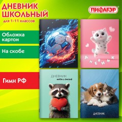 Дневник 1-11 класс 40 л., на скобе, ПИФАГОР, обложка картон, МИКС "Универсальный", 107578 - фото 14