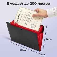 Папка-органайзер на кнопке 12 отделений, BRAUBERG "Extra", А4, черная с красным, 271934 Папка-органайзер на кнопке 12 отделений, BRAUBERG "Extra", А4, черная с красным, 271934 - фото 10