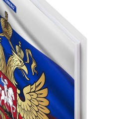 Дневник 5-11 класс 48 л., твердый, BRAUBERG, глянцевая ламинация, с подсказом, "Символика 2", 106067 - фото 5