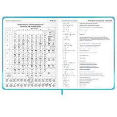 Дневник 1-11 класс 48 л., твердый, BRAUBERG, матовая ламинация, резинка, закладка-ляссе, с подсказом, "Котик", 107239 - фото 17