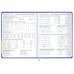 Дневник 1-11 класс 48 л., твердый, BRAUBERG, матовая ламинация, резинка, закладка-ляссе, с подсказом, "Гусь", 107237 - фото 16