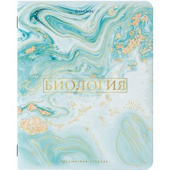 Тетради предметные со справочным материалом, КОМПЛЕКТ 10 ПРЕДМЕТОВ, 48 л., SoftTouch, фольга, BRAUBERG, "PASTEL", 404031 Тетради предметные со справочным материалом, КОМПЛЕКТ 10 ПРЕДМЕТОВ, 48 л., SoftTouch, фольга, BRAUBERG, "PASTEL", 404031 - фото 9