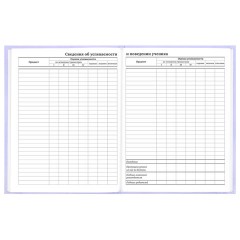 Дневник 5-11 класс 48 л., твердый, BRAUBERG, матовая ламинация, с подсказом, "Классика", 107610 - фото 15