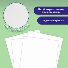Бумага для гуаши А4 20 л., 180 г/м2, 210х297 мм, в папке, BRAUBERG АКАДЕМИЯ, "Котик", 117737 - фото 10
