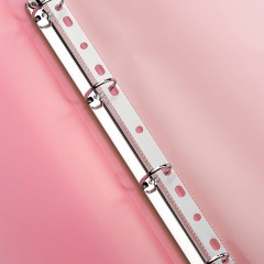 Папка на 4 кольцах ERICH KRAUSE "Diagonal Pastel", 24 мм, до 150 листов, ассорти, 0,6 мм, 49978 - фото 7