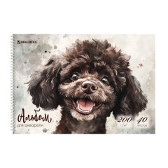 Альбом для акварели А4 40 л., бумага 200 г/м2, гребень, твердая подложка, BRAUBERG, "Пудель", 116885
