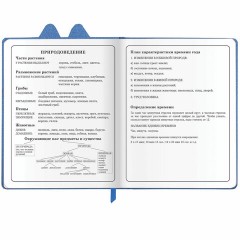 Дневник 1-4 класс 48 л., кожзам (твердая с поролоном), фигурный край, ЮНЛАНДИЯ, "Милый Пес", 106931 - фото 17