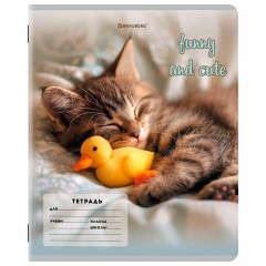 Тетрадь 12 л. BRAUBERG косая линия, обложка картон, CATS AND DOGS, 107288 Тетрадь 12 л. BRAUBERG косая линия, обложка картон, CATS AND DOGS, 107288 - фото 7