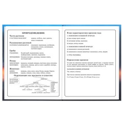 Дневник 1-4 класс 48 л., твердый, BRAUBERG, выборочный лак, с подсказом, "Авто мечты", 107593 - фото 16