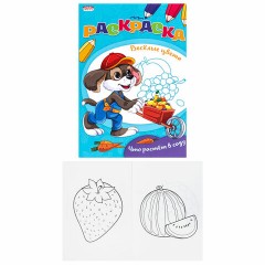 Книжка-Раскраска "ДЛЯ ДЕВОЧЕК И МАЛЬЧИКОВ", КОМПЛЕКТ 15 шт.,140х200 мм, 16 стр., ПП - фото 8