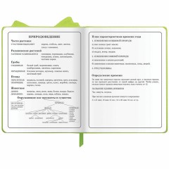 Дневник 1-4 класс 48 л., кожзам (твердая с поролоном), фигурный край, ЮНЛАНДИЯ, "Фея", 106932 - фото 17