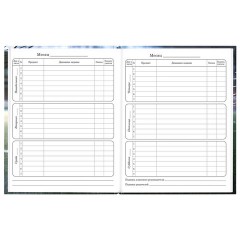 Дневник 1-4 класс 48 л., твердый, ЮНЛАНДИЯ, глянцевая ламинация, с подсказом, "Футбол", 107583 - фото 9