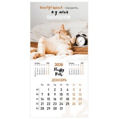 Календарь настенный перекидной 2026 г., BRAUBERG, 12 листов, 28,5х28,5 см, "Милые котики", 116929 - фото 15