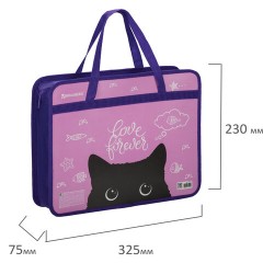 Папка на молнии с ручками BRAUBERG А4, 1 отделение, пластик, 80 мм, "Black Cat", 270122 Папка на молнии с ручками BRAUBERG А4, 1 отделение, пластик, 80 мм, "Black Cat", 270122 - фото 6