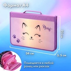 Папка на молнии BRAUBERG А4 с ручкой, с органайзером, 1 отделение, "Cheerful", 271448 Папка на молнии BRAUBERG А4 с ручкой, с органайзером, 1 отделение, "Cheerful", 271448 - фото 11