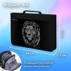 Папка на молнии BRAUBERG А4 с ручкой, с органайзером, 1 отделение, "Savage lion", 272218 Папка на молнии BRAUBERG А4 с ручкой, с органайзером, 1 отделение, "Savage lion", 272218 - фото 11