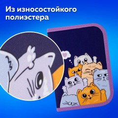 Пенал ПИФАГОР, 1 отделение, 1 откидная планка, полиэстер, 19х13 см, "Cats greetings", 272291 Пенал ПИФАГОР, 1 отделение, 1 откидная планка, полиэстер, 19х13 см, "Cats greetings", 272291 - фото 11