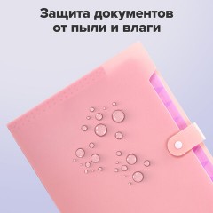 Папка-органайзер на кнопке 12 отделений, BRAUBERG "Extra", А4, персиковая с лавандовым, 271931 Папка-органайзер на кнопке 12 отделений, BRAUBERG "Extra", А4, персиковая с лавандовым, 271931 - фото 13