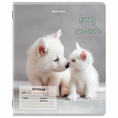 Тетрадь 12 л. BRAUBERG косая линия, обложка картон, CATS AND DOGS, 107288 Тетрадь 12 л. BRAUBERG косая линия, обложка картон, CATS AND DOGS, 107288 - фото 8