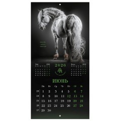Календарь настенный перекидной 2026 г., BRAUBERG, 12 листов, 28,5х28,5 см, "Символ года", 116928 - фото 9