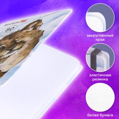 Скетчбук, белая бумага 120 г/м2, 145х203 мм, 80 л., резинка, твердый, BRAUBERG ART DEBUT "Львёнок", 114585 Скетчбук, белая бумага 120 г/м2, 145х203 мм, 80 л., резинка, твердый, BRAUBERG ART DEBUT "Львёнок", 114585 - фото 11