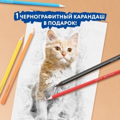 Карандаши цветные BRAUBERG PREMIUM 12 цветов + 1 чернографитный карандаш, трехгранные, грифель 3 мм, 181936 Карандаши цветные BRAUBERG PREMIUM 12 цветов + 1 чернографитный карандаш, трехгранные, грифель 3 мм, 181936 - фото 12