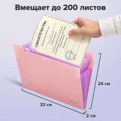 Папка-органайзер на кнопке 12 отделений, BRAUBERG "Extra", А4, персиковая с лавандовым, 271931 Папка-органайзер на кнопке 12 отделений, BRAUBERG "Extra", А4, персиковая с лавандовым, 271931 - фото 10
