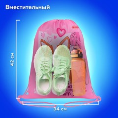 Мешок для обуви ПИФАГОР, 1 отделение, 42х34 см, "Fluffy akita", 272385 Мешок для обуви ПИФАГОР, 1 отделение, 42х34 см, "Fluffy akita", 272385 - фото 10