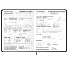 Дневник 1-11 класс 48 л., твердый, BRAUBERG, матовая ламинация, резинка, закладка-ляссе, с подсказом, "Элементы", 107242 - фото 15