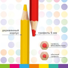 Карандаши цветные утолщенные BRAUBERG KIDS, 24 цвета, шестигранные, грифель 5 мм, натуральное дерево, 181879 Карандаши цветные утолщенные BRAUBERG KIDS, 24 цвета, шестигранные, грифель 5 мм, натуральное дерево, 181879 - фото 13