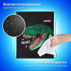 Мешок для обуви ПИФАГОР, 1 отделение, 42х34 см, "Dino roar", 272387 Мешок для обуви ПИФАГОР, 1 отделение, 42х34 см, "Dino roar", 272387 - фото 8