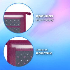 Папка для труда на молнии BRAUBERG А4, 2 отделения, органайзер, "Shining heart", 272210 Папка для труда на молнии BRAUBERG А4, 2 отделения, органайзер, "Shining heart", 272210 - фото 6