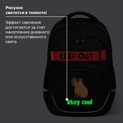 Рюкзак BRAUBERG MOTION, 2 отделения, 3 кармана, "Капибара", СВЕТЯЩИЙСЯ, 41х28х17 см, 272032 - фото 10