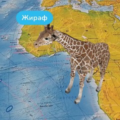 Карта мира физическая 199х134 см, 1:15,5М, с ламинацией, интерактивная, в тубусе, BRAUBERG, 112389 - фото 12