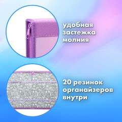 Папка на молнии BRAUBERG А4 с ручкой, с органайзером, 1 отделение, "Cheerful", 271448 Папка на молнии BRAUBERG А4 с ручкой, с органайзером, 1 отделение, "Cheerful", 271448 - фото 10