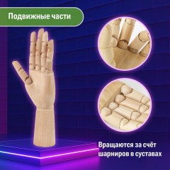 Манекен художественный BRAUBERG ART CLASSIC "РУКА", высота 30 см., мужская правая, дерево, 191297 Манекен художественный BRAUBERG ART CLASSIC "РУКА", высота 30 см., мужская правая, дерево, 191297 - фото 12